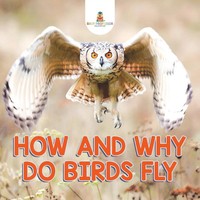 How And Why Do Birds Fly Baby Taschenbuch Kartoniert / Broschiert Englisch 2015