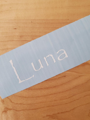 Luna pet name Sticker Vinyl Decals 8'' (2) PAIR white Dog Cat Pet Puppy FAST