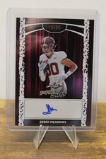 2026 Leaf Pay Dirt  Derek Meadows Auto 13/30