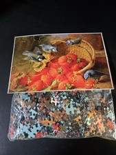 Used/ Complete 500 piece Jigsaw Puzzle - No Box