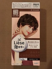 Kao LIESE Soft Creamy Bubble Foam Hair Color Prettia Dying Kit Dark Chocolate