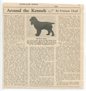 1931 Around The Kennels Cocker Spaniel Dog Magazine Cutout Article Freeman Lloyd