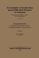 Max Wegener | Die Nackengabel von Zerynthia (...