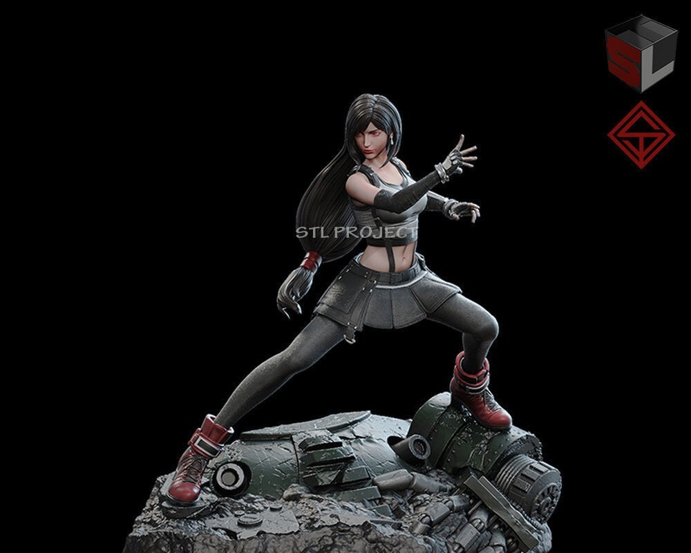 Tifa Lockhart Aerith Cloud Strife 3d Model | Unassembled
