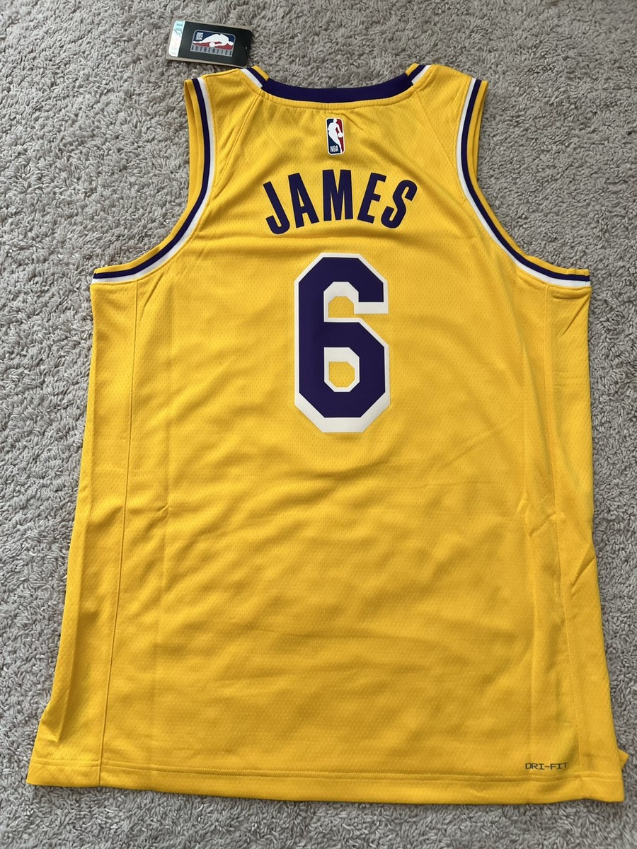 Nike LA Lakers Lebron James #6 Swingman Icon Edition Jersey DN2009
