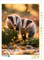 Calvendo Puzzle Spielen Im Herbstlicht | 1000 Teile Lege-GrößE 64 × 48 Cm Foto-P