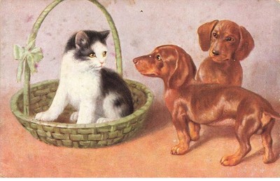 DOGS DOG #FG36556 DOG DOG DOG 2 DACHSHUND AND CAT KAYZE CAT IN A BASKET