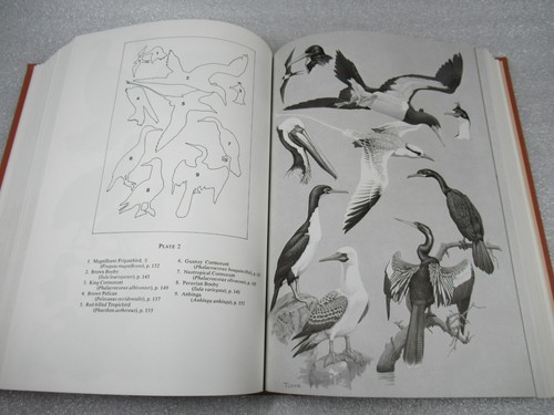 MANUAL OF NEOTROPICAL BIRDS - Vol 1 - Emmet Reid Blake 1977 1st ed - Imagen 9 de 10