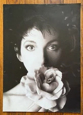 Kate Bush - The Sensual World  RARE UK trade ad fold-out poster '89
