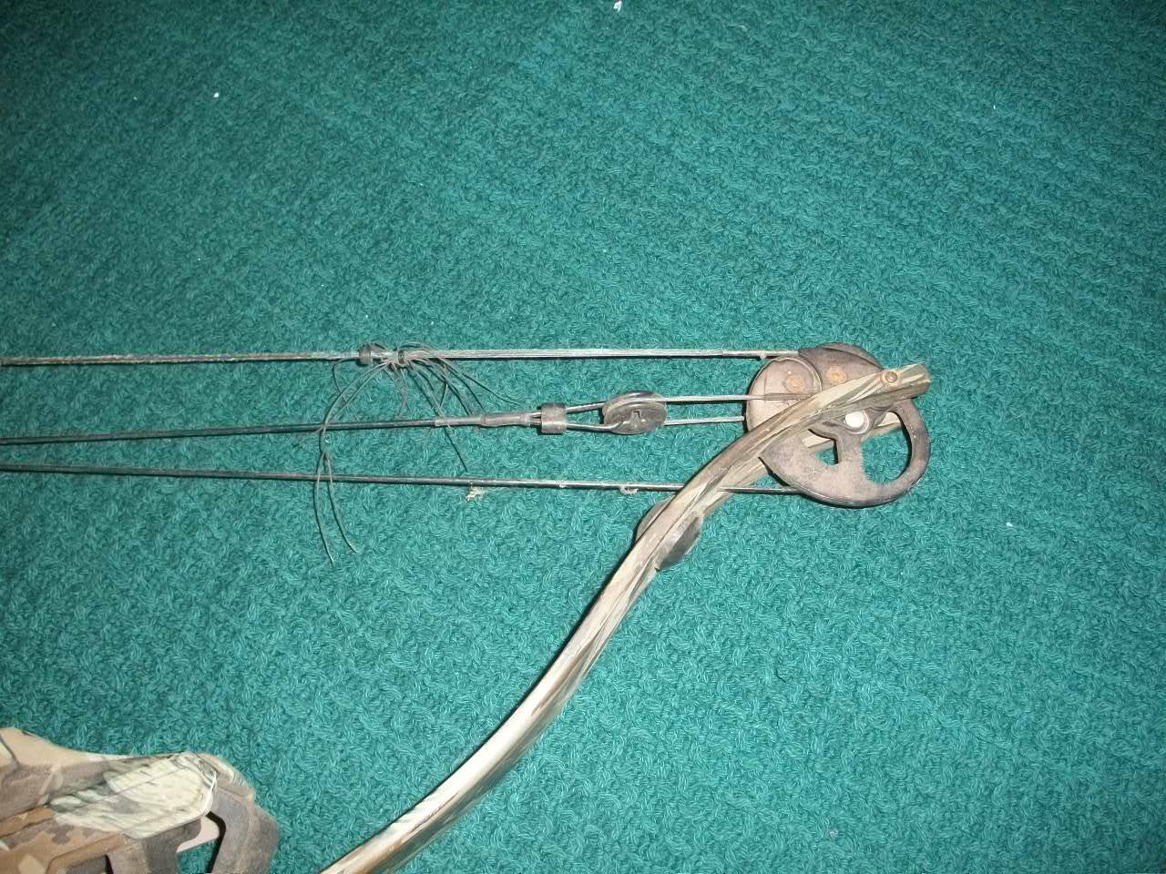 Golden Eagle Formula 3d Compound Bow