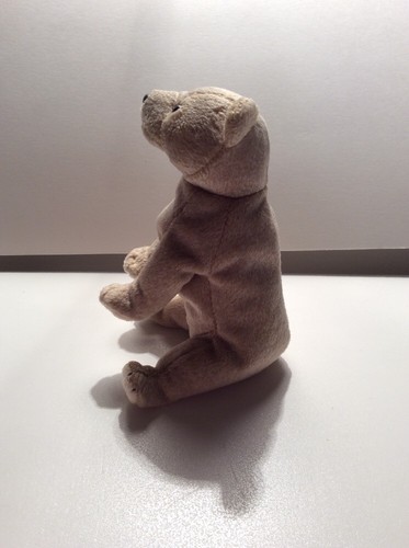 TY Beanie Baby Almond The Bear No Hang Tag - Picture 4 of 6