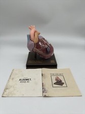 Vintage Merck Sharp Dohme Anatomical Heart Model Pharmaceutical Advertising