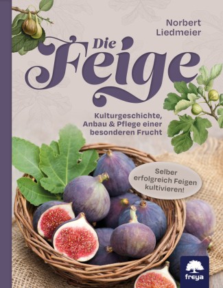 Die Feige | Liedmeier, Norbert | Kartoniert | 9783990254325-image