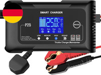 Htrc 25A BatterieladegeräT Kfz, LadegeräT Autobatterie 12V/24V, Erhaltungsladege