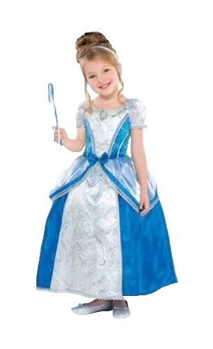 Cinderella Disney Complete Outfit Costumes for Girls
