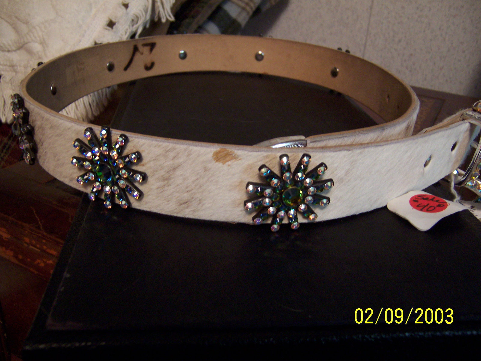 Picture 5 of 5
