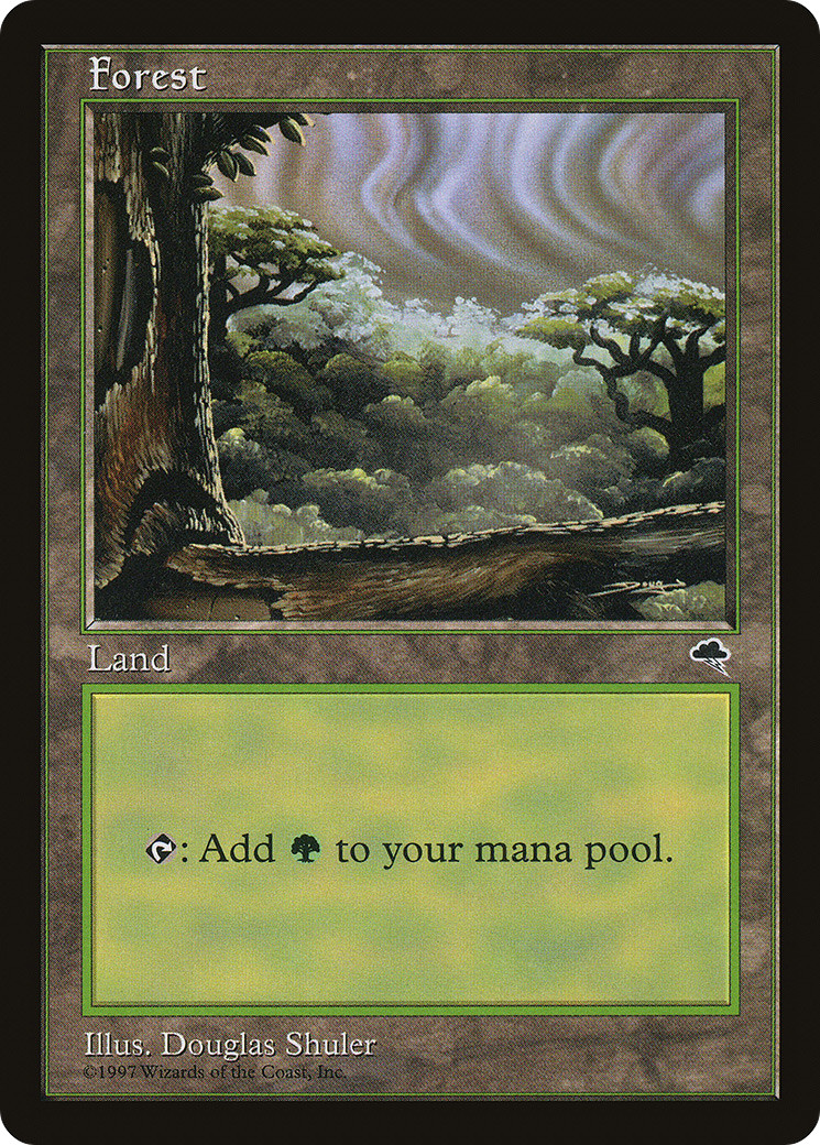 Forest (Cloudy) #349 (MP) Tempest TMP Magic MTG