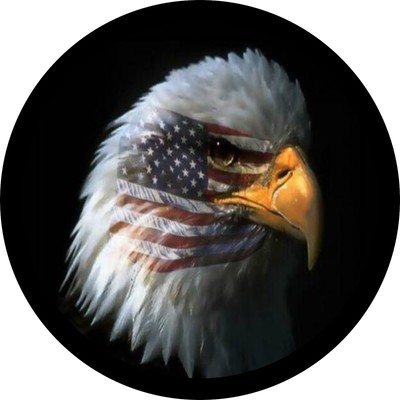 Bar Stool of American Flag on an Eagle Face