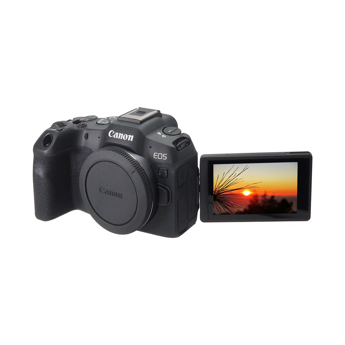 Canon EOS R8 Mirrorless Camera Body Only (Black) 13803351354| eBay