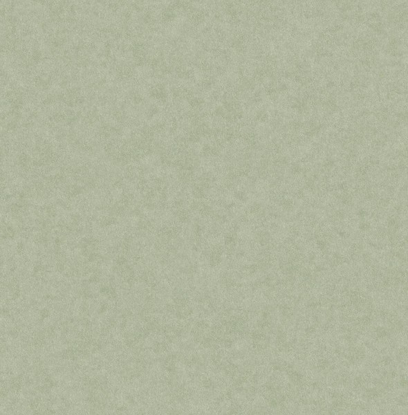 M1837_Ashdown Weich Textur Frische Salbei GrüN Fine Decor Tapete-image
