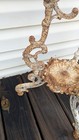 Cast Iron Chereb Plant Stand Potted Pedestal Ornate Victorian Style? — photo 8