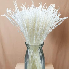 Iory White 180+Stems Dried Lavender Flowers Bundle-15''-17''Real Bleaching Cr...