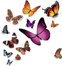Waterproof Butterfly Vinyl Decals for Car Bumper, Motorcycle Hel Color: Type B