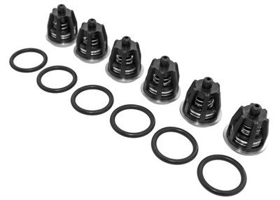 General Pump Check Valves Kit 1 K01 Interpump Mi-T-M 70-0009 700009 EZ TP Pumps