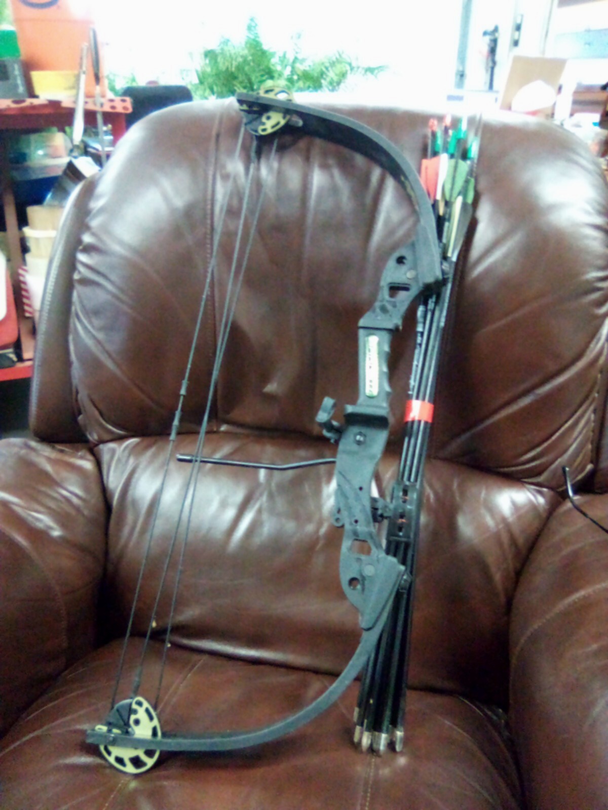 Tomcat Youth Compound Bow eBay
