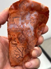 Cotton Candy Agate Slab Cabbing Lapidary Collecting Combo Ship Avail