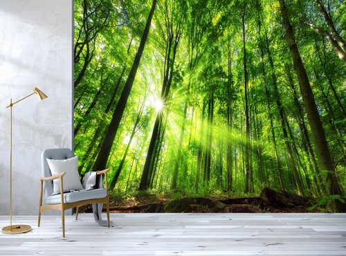 Green Forest Wall Mural Wallpaper Photo Wall Decor Sunlight Giant Paper Poster - Picture 3 of 8