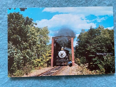 Excursion Train in the Williams River Valley  Vintage Postcard