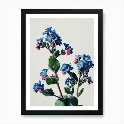 Vergissmeinnicht 1 Kunstdruck gerahmt Wandbild Poster Leinwanddruck Bild