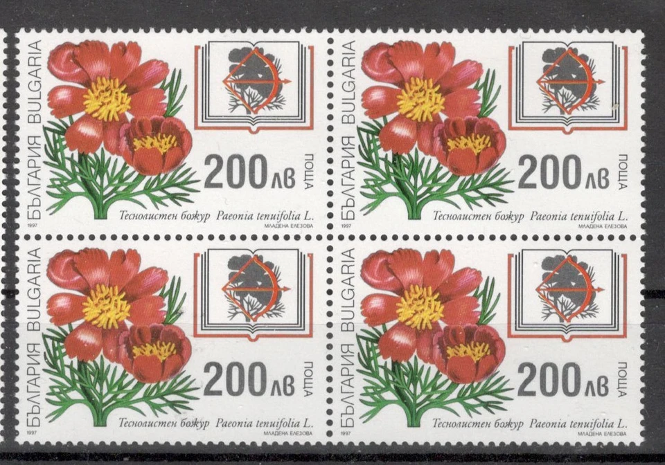BULGARIA - 2x MNH BLOQUE DE 4 FLORES - ERROR, SELLO DOBLE IMPRESIÓN DE 200 L - 1997 Foto 3 de 4