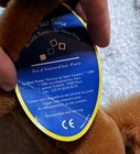 Foto 6 di 6
