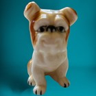 3" Porcelain American Bulldog Figurine Smiling Miniature Dog Handpainted Collect