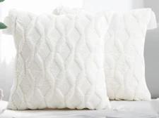 NEW Eongoa Set of 2 Designer Throw Pillow Covers (White)