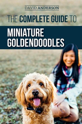 The Complete Guide to Miniature Goldendoodles: Learn Everything about Findin...