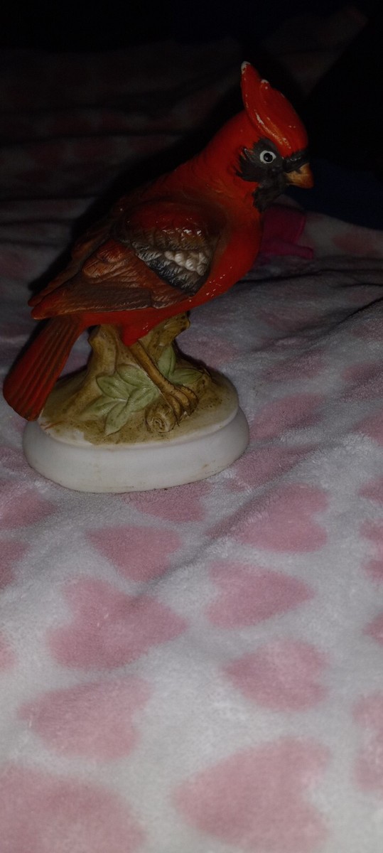 Cardinal | eBay