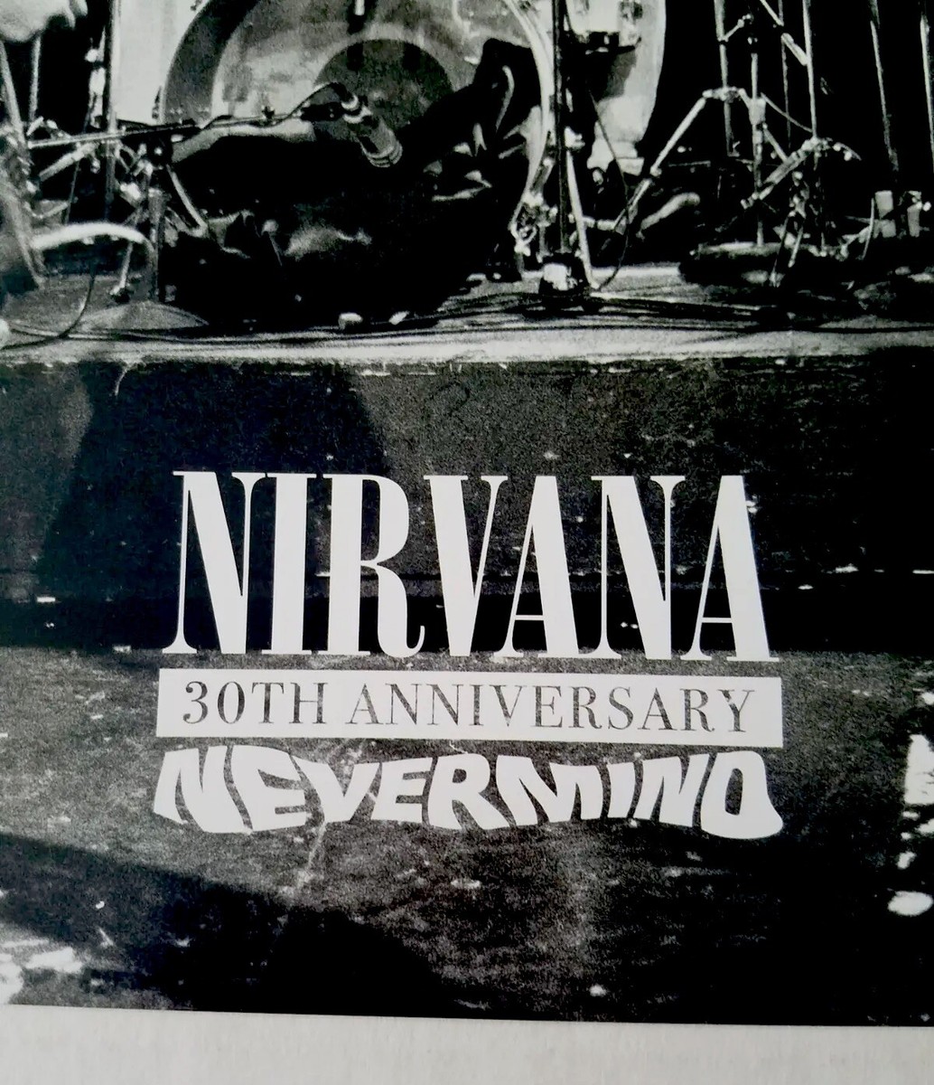NIRVANA Nevermind 30th Anniversary Album Promo Record Store