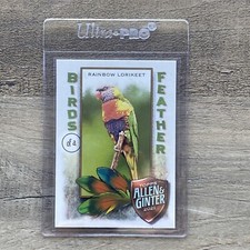 2021 Topps Allen and Ginter Birds of a Feather #BOF10 Rainbow Lorikeet