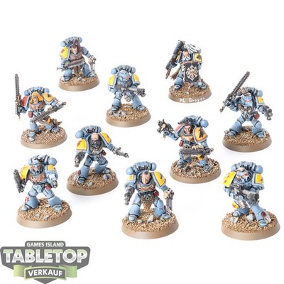 Space Wolves - 10 x Grey Hunters - bemalt