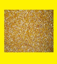 25 kg Mais Futtermais Körnermais  NICHT GENMANIPULIERT!! Premium gereinigt  Mais