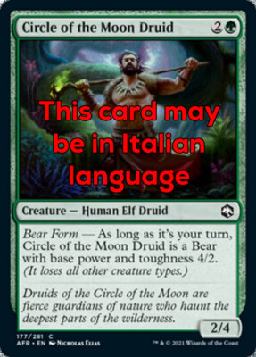 MTG 2x CIRCLE OF THE MOON DRUID FOIL EXC - MONDKREISDRUIDE - AFR