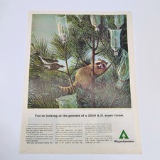 Weyerhaeuser Vintage Magazine Ad Raccoon Birds Tree 1960s-70s Forestry Full Page