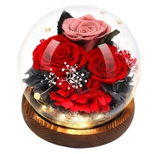 Eyesofspring Preserved Flowers,Rose in Glass Dome with LED Red & Pink (S7)