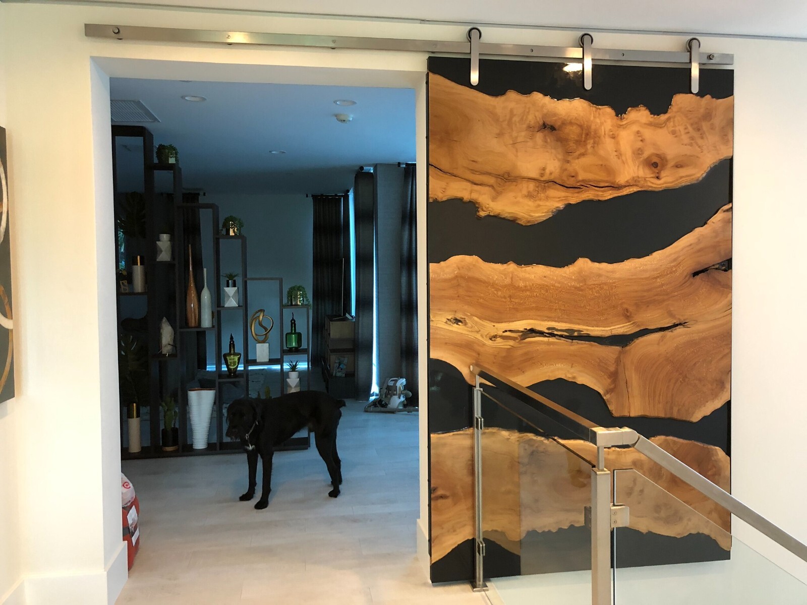 Stunning Epoxy Resin Door – Custom Designs Available, barn door