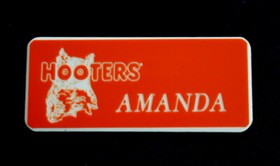 Amanda Hooters Girl Uniform Name Tag Lingerie  Halloween Costume Cheerleader
