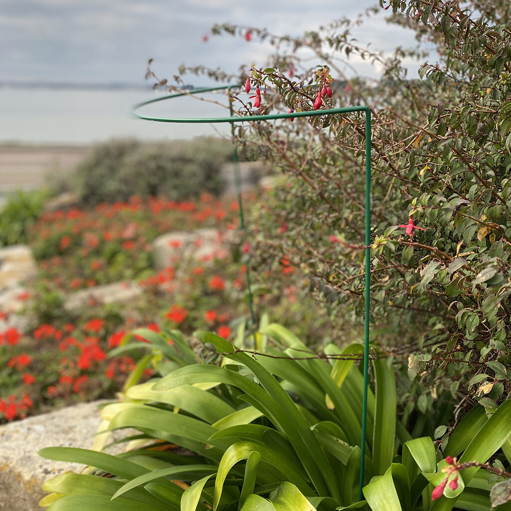Metal Garden Plant Support Hoop Bow Half Round System 45cm x 60cm (Pack of 4)