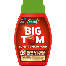 Big Tom Tomato Food 1L 8.60 per litre